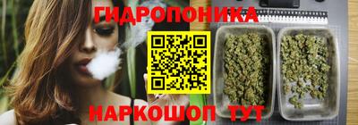 индика Ливны