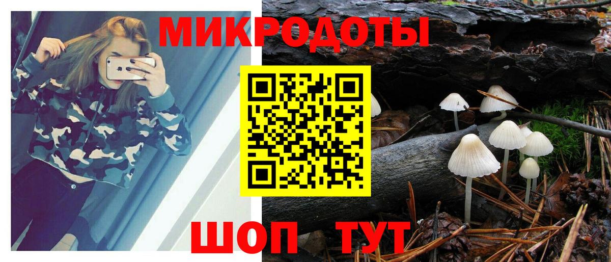 Псилоцибиновые грибы Psilocybine cubensis  Вход с VPN  Россошь 