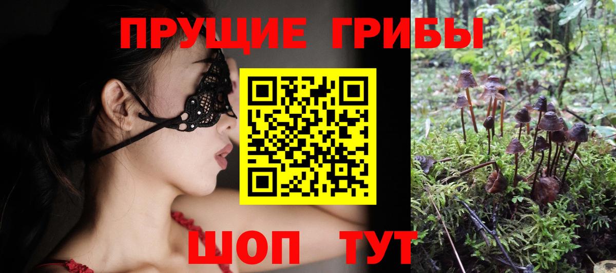 Псилоцибиновые грибы ЛСД Россошь